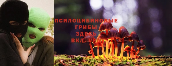 мет Краснослободск