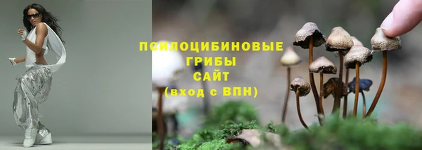 спайс Беломорск