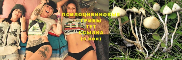 мдпв Тында