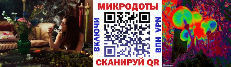 купить   Верхотурье  Галлюциногенные грибы Magic Shrooms 